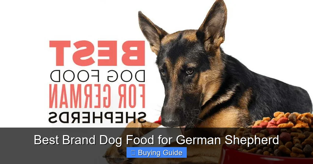Best Brand Dog Food for German Shepherd