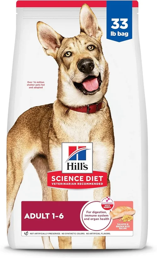 Best Dog Food Brand Guide 2026