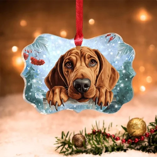 Best Coonhound Dog Food Guide 2026