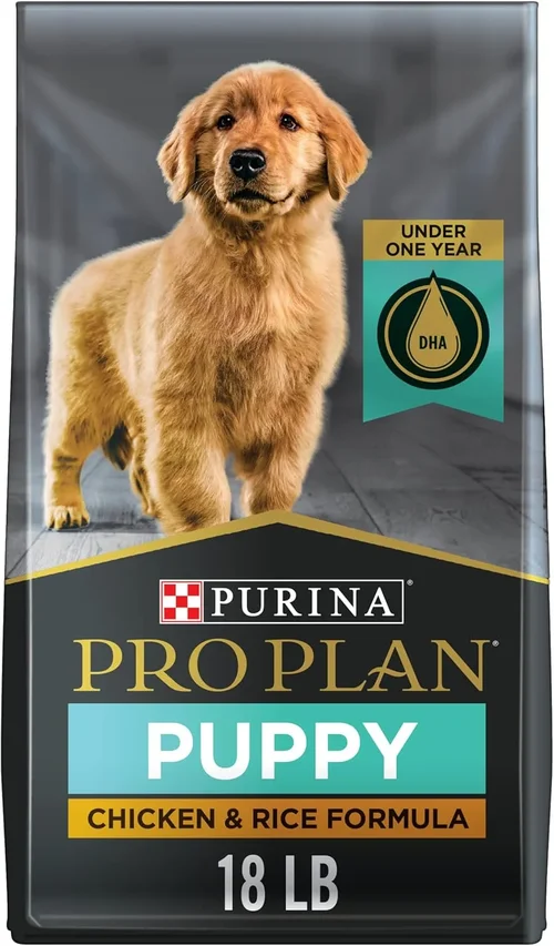 How to Choose Dog Food for Maltipoo Puppies 2026