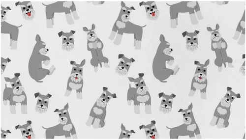 Complete Miniature Schnauzer Dog Food Buying Guide 2026