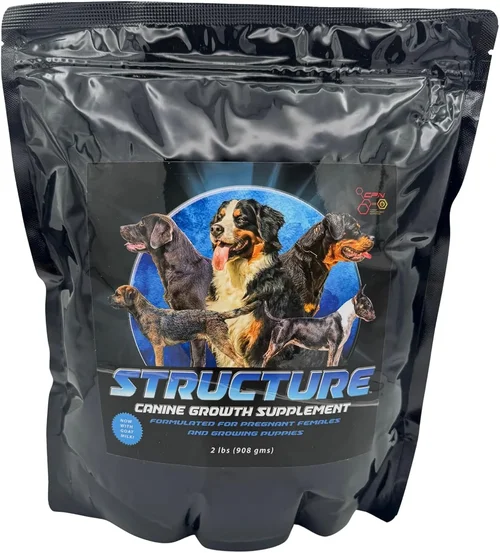 Dog Food for Pregnant Dogs Purchase Guide 2026