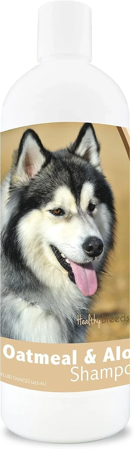 Best Dog Food for Huskies 2026