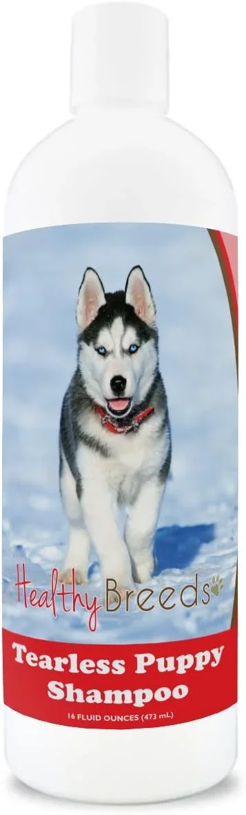 Best Dog Food for Huskies 2026