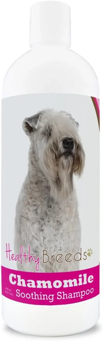 Wheaten Terrier Food Guide 2026