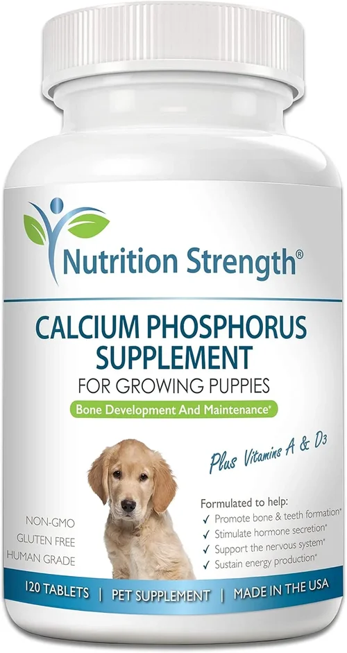 Best Calcium Food for Dogs Shopping Guide 2026