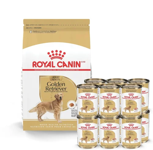 Best Canned Dog Food Guide 2026