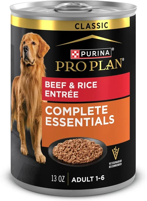 How to Choose Best Can Food for Dogs 2026