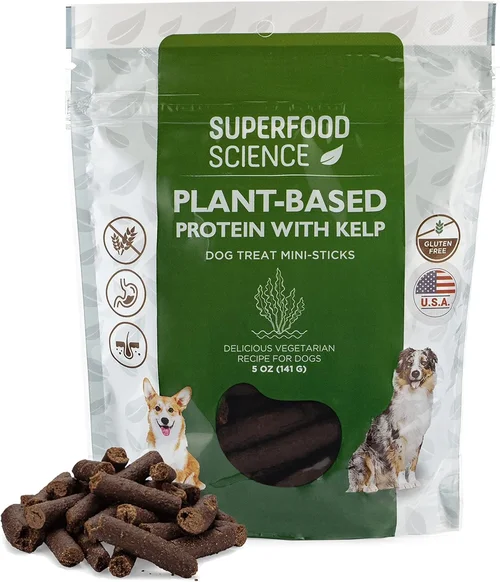 Expert Can Food for Picky Small Dogs Buying Guide 2026