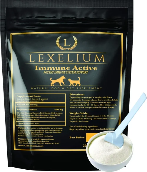 Expert Cancer Fighting Dog Food Buying Guide 2026