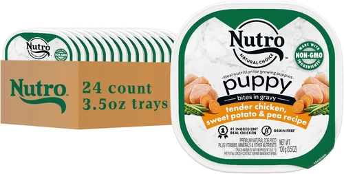 Beauceron Puppy Canned Food Guide 2026