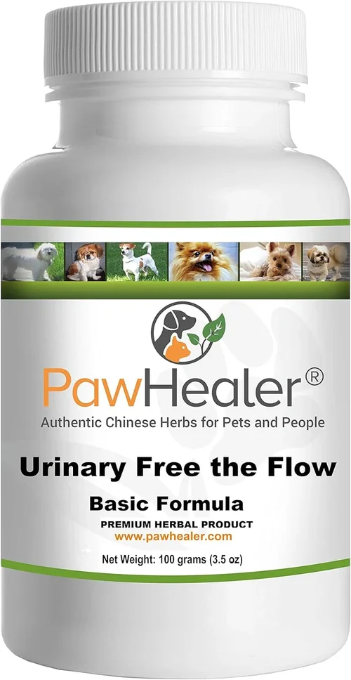 Best Canned Dog Food Selection Guide 2026