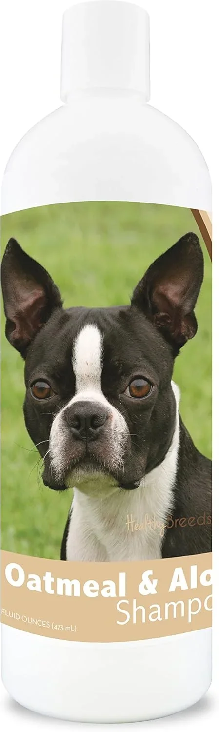 Best Canned Dog Food for Boston Terrier 2026