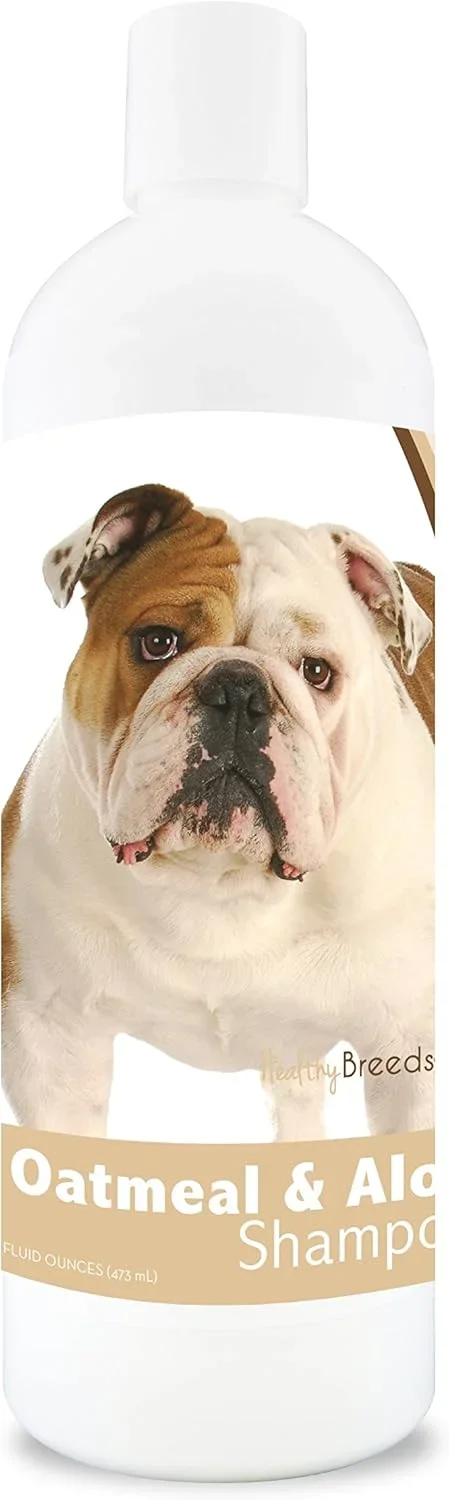 best canned dog food for french bulldogs Buying Guide 2026