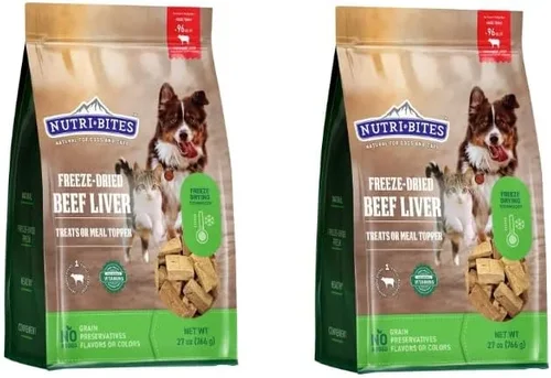 Complete Canned Dog Food Buying Guide 2026