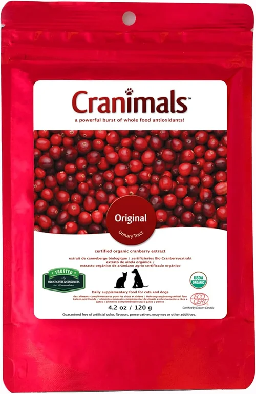 Best Canned Dog Food for Urinary Health Selection Guide 2026