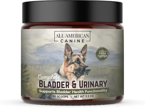 Best Canned Dog Food for Urinary Tract Buyer’s Guide 2026