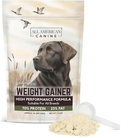 Expert Canned Dog Food Buying Guide 2026