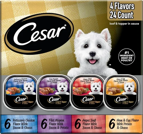 Best Canned Dog Food for Yorkies 2026