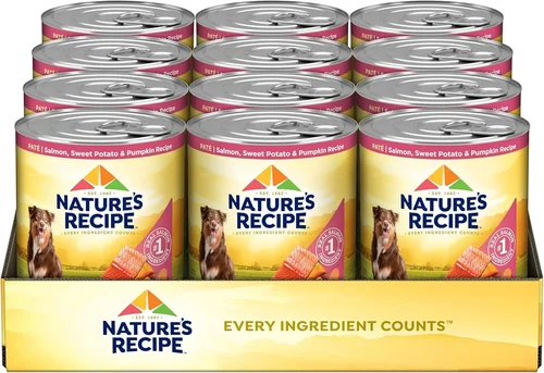 Best Canned Dog Food Guide 2026