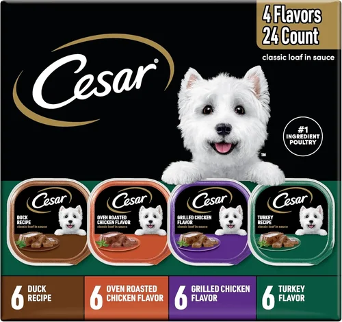 Ultimate Canned Dog Food Buying Guide 2026