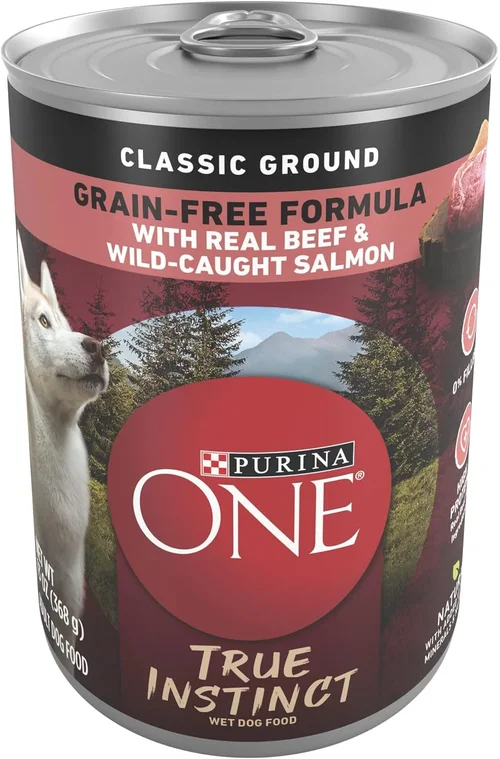 Ultimate Canned Dog Food Buying Guide 2026