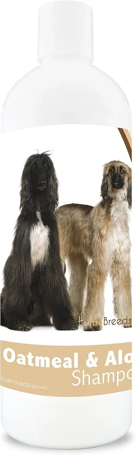 Best Canned Dog Food Buying Guide 2026