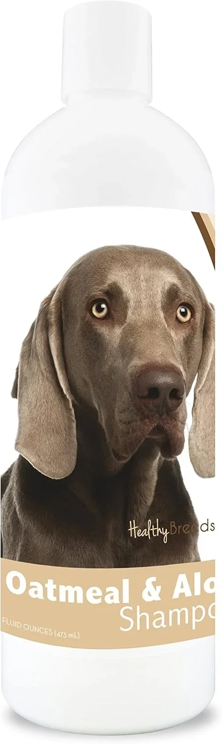Complete Cheap Dog Food Buying Guide 2026