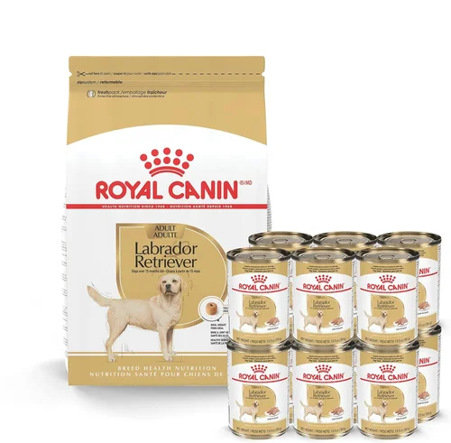 Best Cheap Dog Food Buyer's Guide 2026
