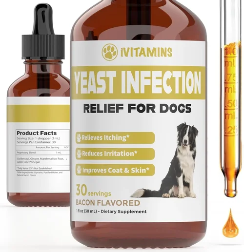 Best Cheap Dog Food for Yeast Infections Buying Guide 2026