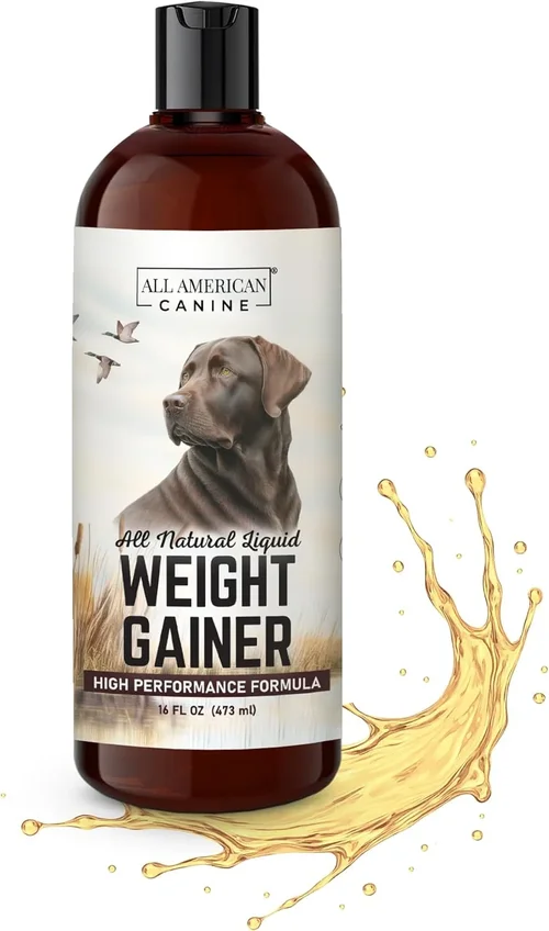 Ultimate Commercial Dog Food Buying Guide 2026