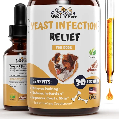 Best Dog Food for Yeast Infection Guide 2026