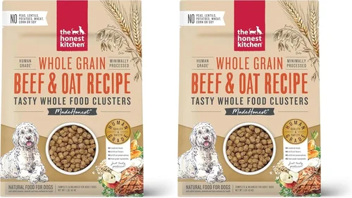 Best Dog Food Buying Guide 2026