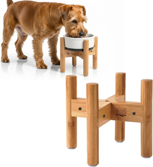 How to Choose Dog Food 2026