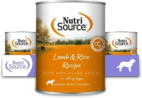 Complete Canned Dog Food Buying Guide 2026