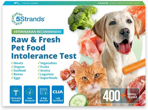 Custom Dog Food Allergy Guide 2026