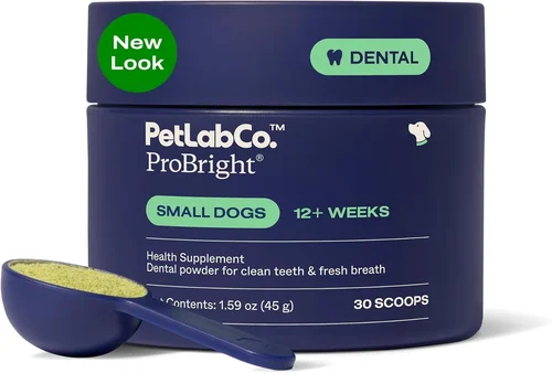 Best Dental Dog Food Buying Guide 2026