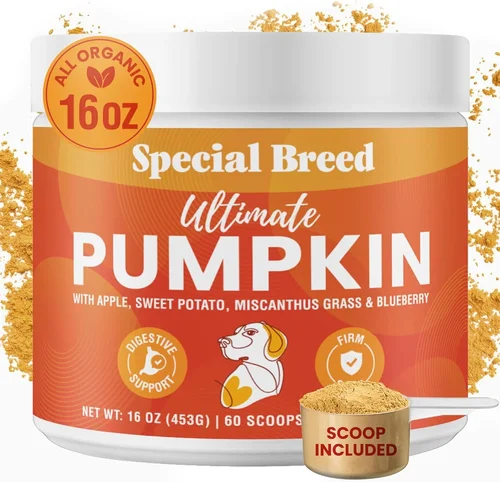 Best Dog Food Buying Guide 2026