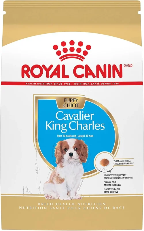 Best Diet Dog Food Guide for Cavaliers 2026