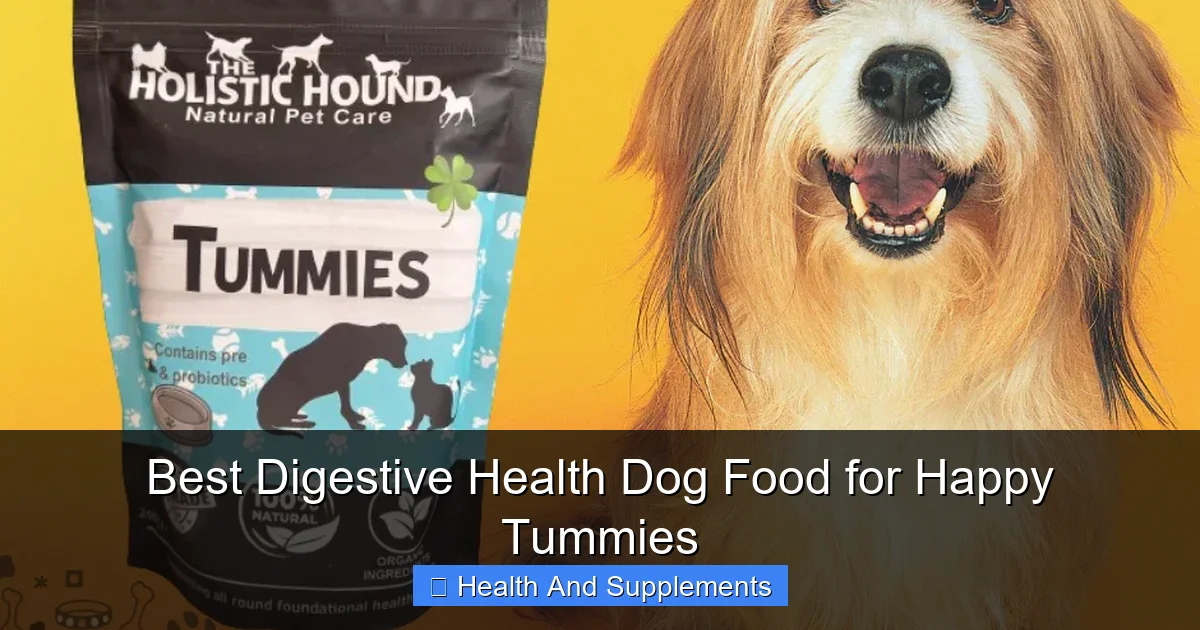 Best Digestive Health Dog Food for Happy Tummies