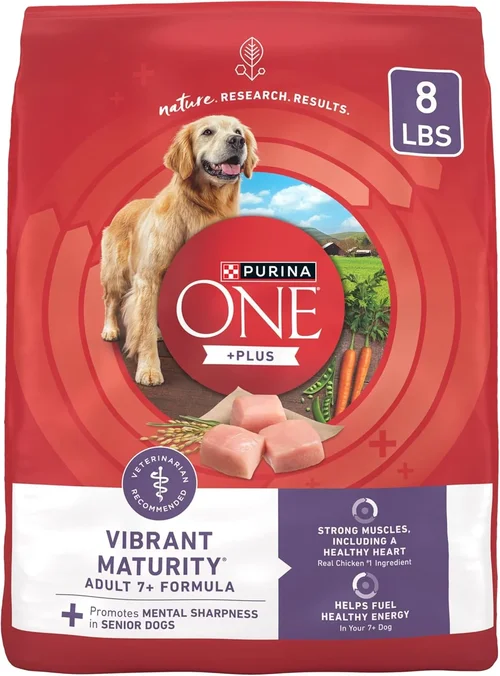 Best Senior Dog Food Buyer’s Guide 2026