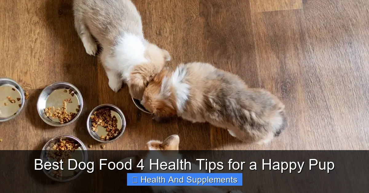 Best Dog Food 4 Health Tips for a Happy Pup
