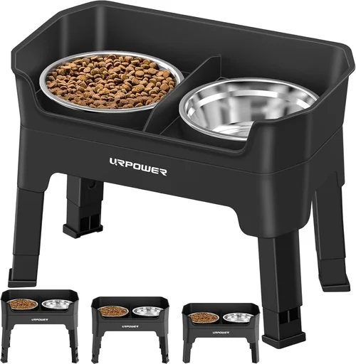 Best Dog Food Bowl Buying Guide 2026