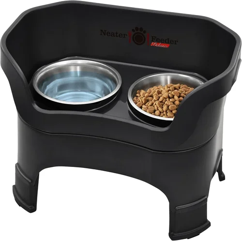 Best Dog Food Bowl Buying Guide 2026