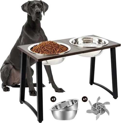 Best Dog Food Bowl Buying Guide 2026