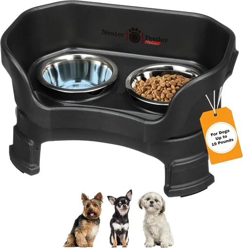 Best Dog Food Bowl Buying Guide 2026