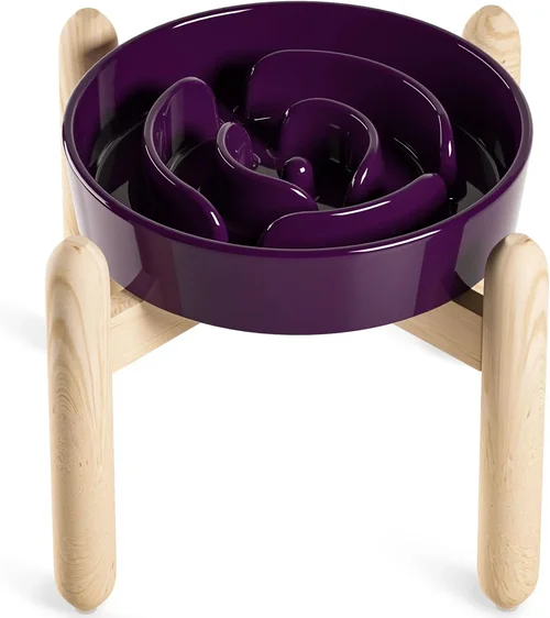 Best Dog Food Bowl Buying Guide 2026