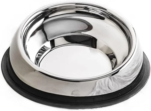 Complete Dog Food Bowl Buying Guide 2026