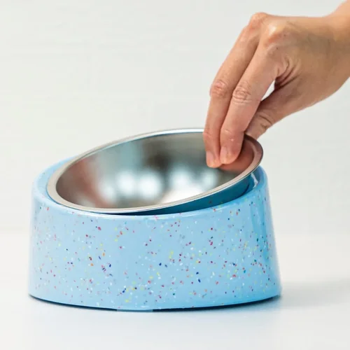 Best Dog Food Bowl Buyer's Guide 2026