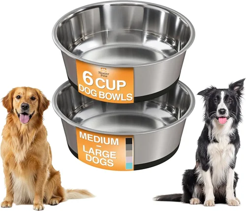 Best Dog Food Bowls for Bloodhounds 2026
